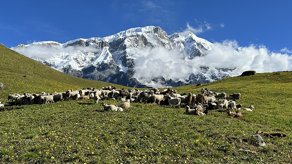 Kori Hill Trek - Nepal