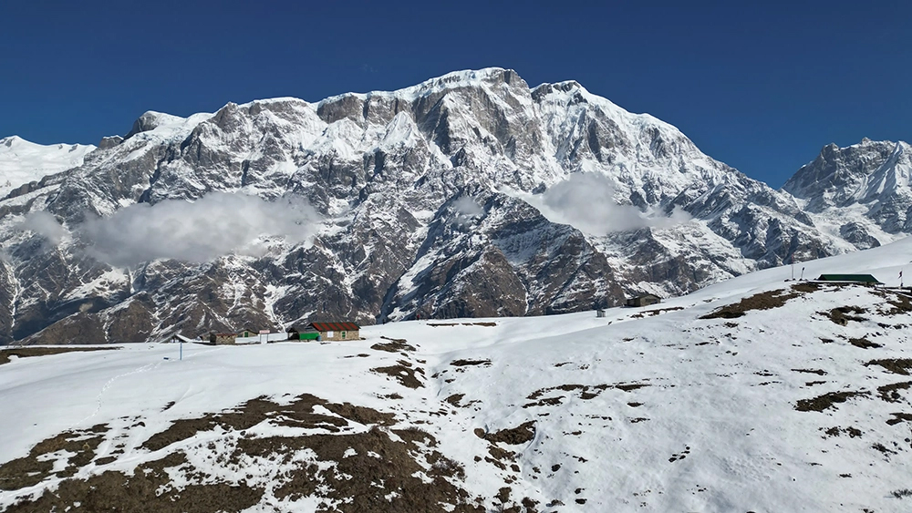 Kori Hill Trek 