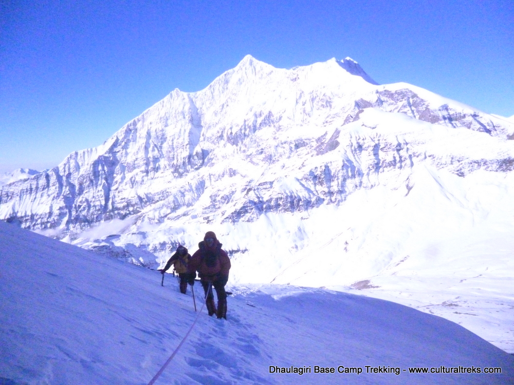Dhaulagiri Base Camp Trekking