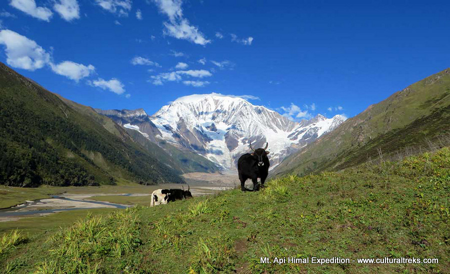 Mt. Api Himal Expedition - Nepal