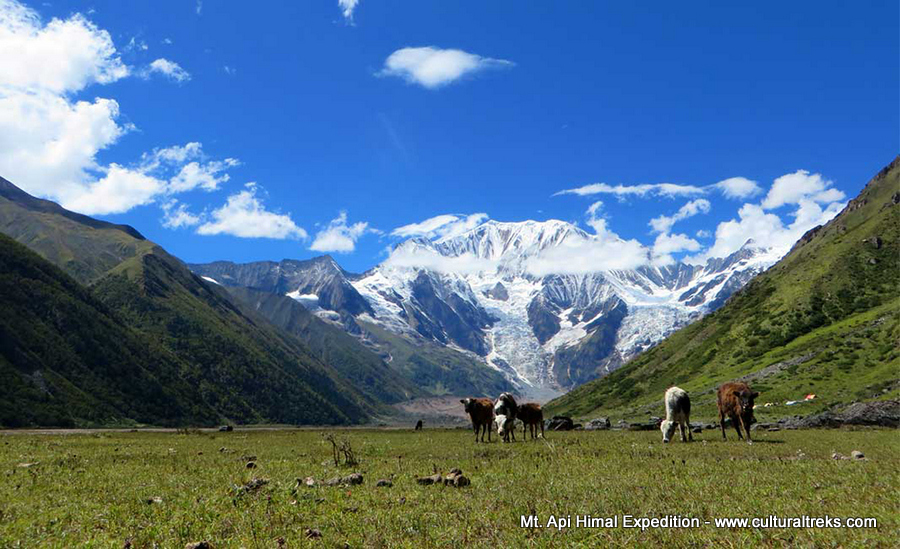 Mt. Api Himal Expedition - Nepal