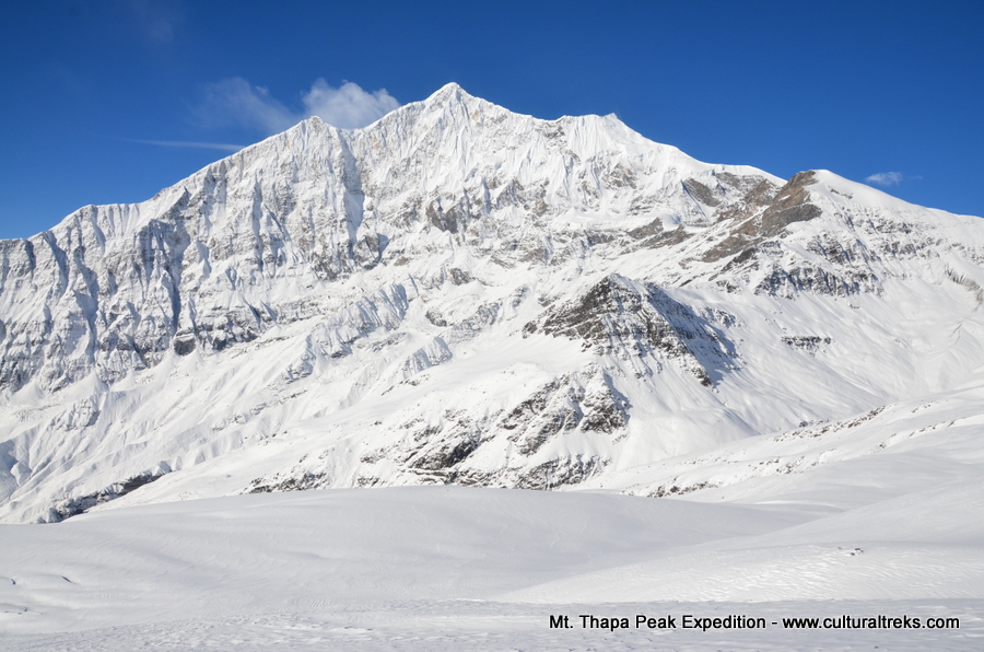 Mt. Thapa Peak Expedition