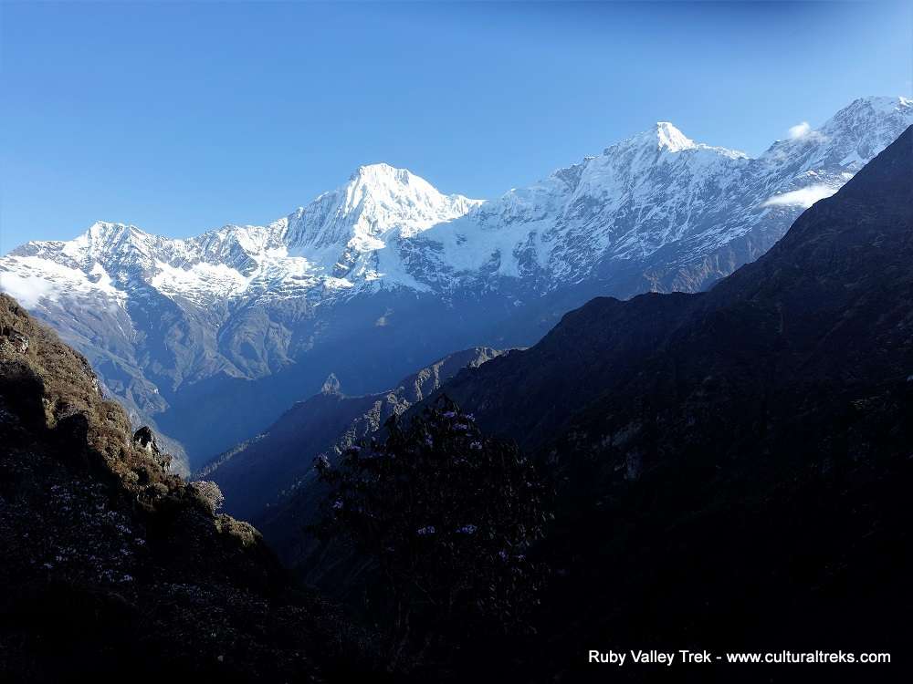 Ruby Valley Trekking