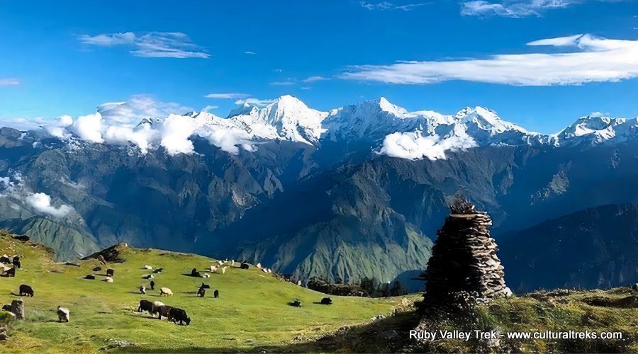 Ruby Valley Trekking