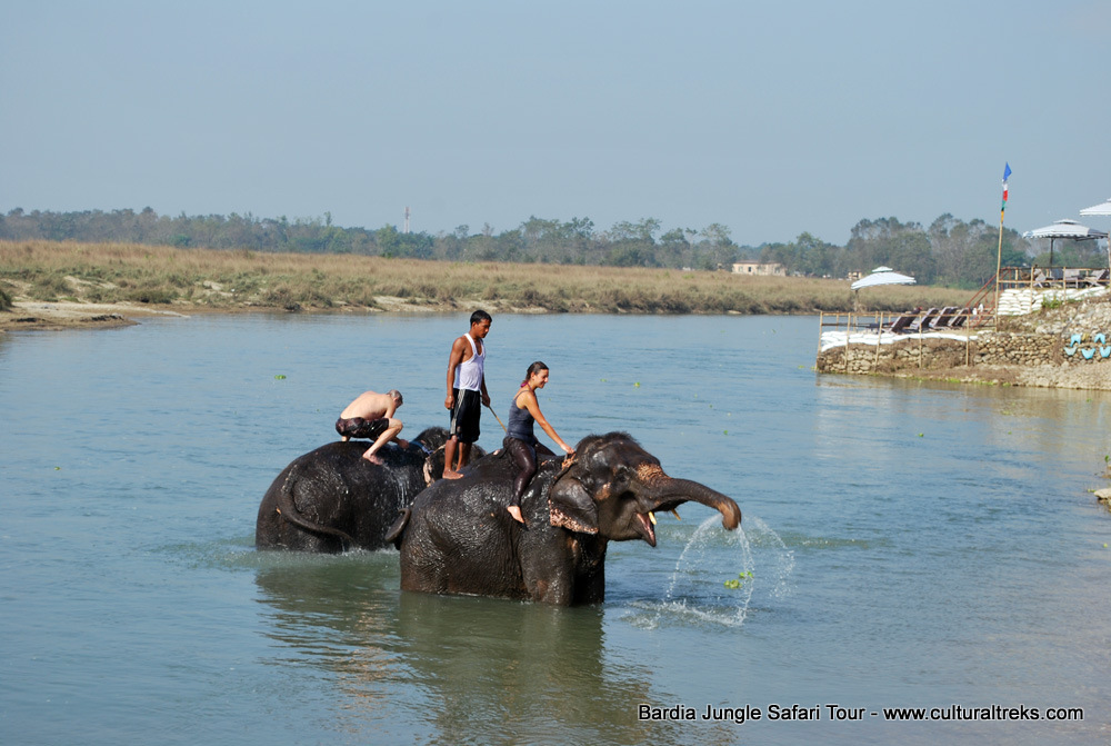 Bardia Jungle Safari Trips