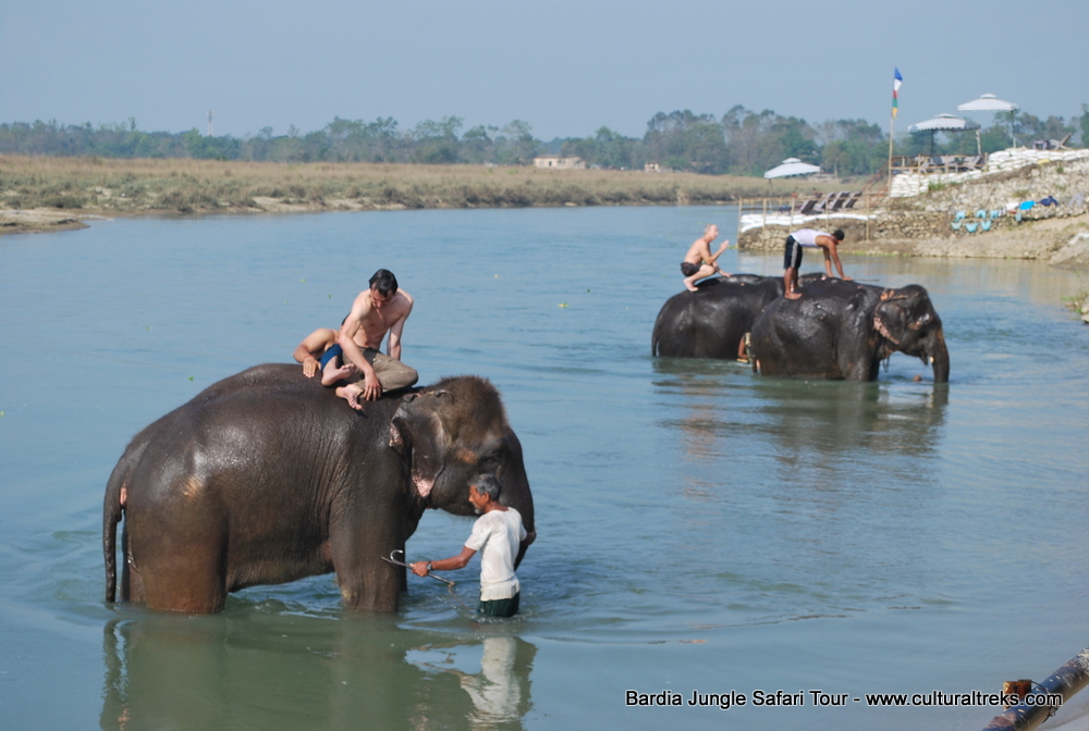 Bardia Jungle Safari Trips