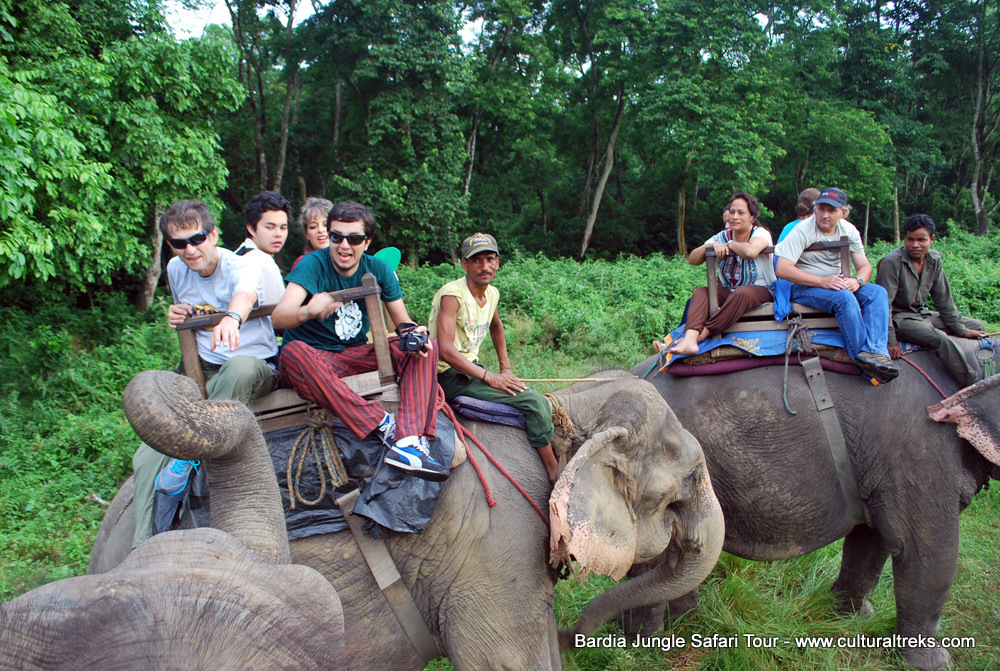 Bardia Jungle Safari Trips
