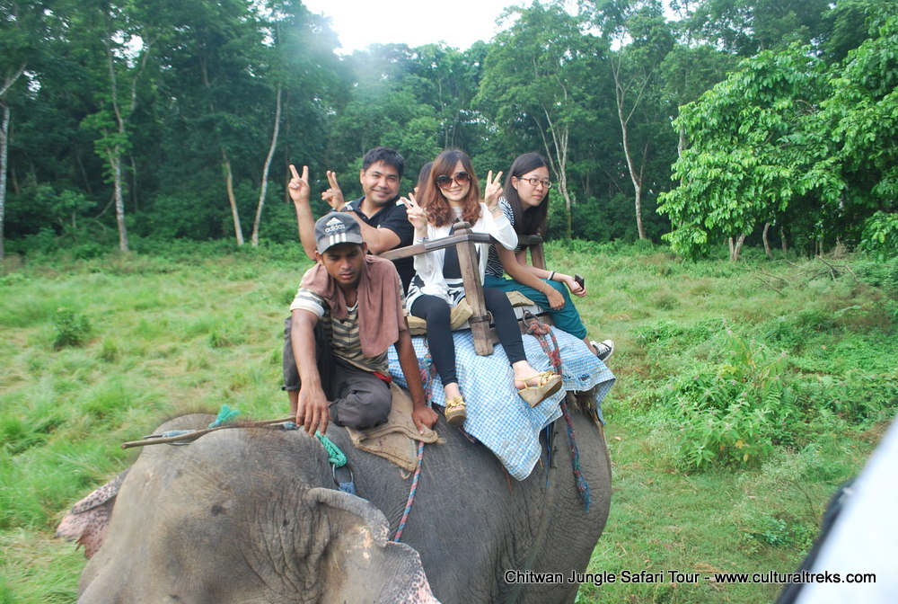 Chitwan Jungle Safari Tour