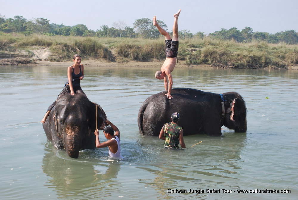 Chitwan Jungle Safari Tour