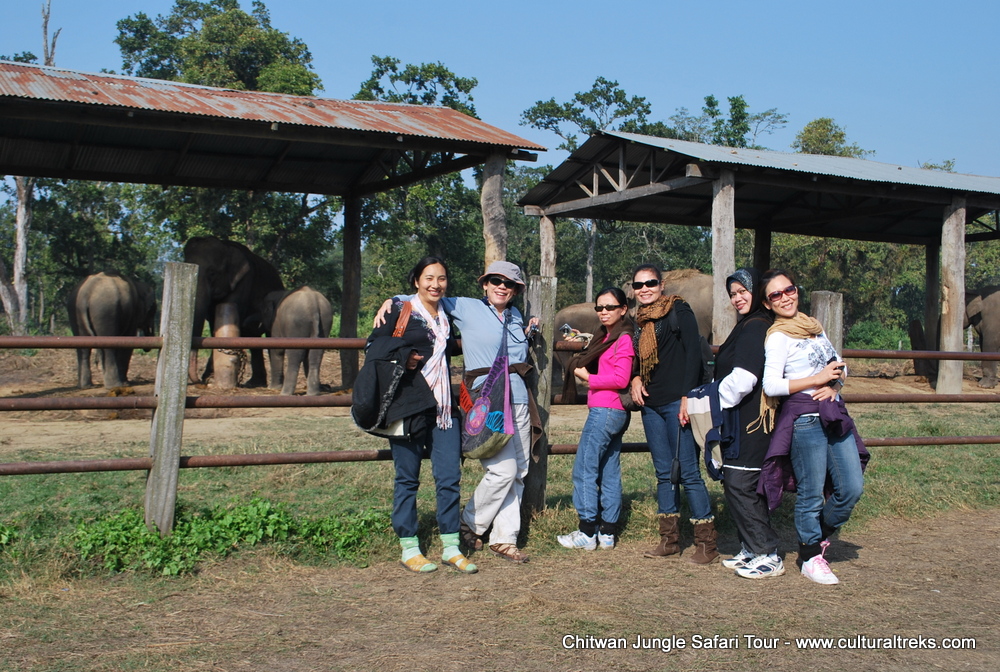 Chitwan Jungle Safari Tour