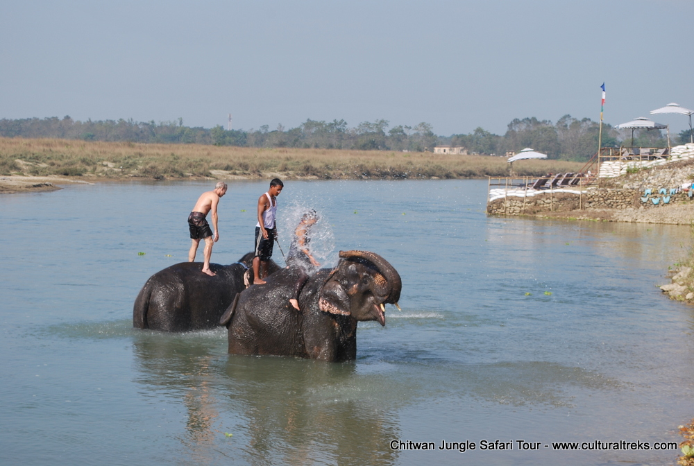 Chitwan Jungle Safari Tour
