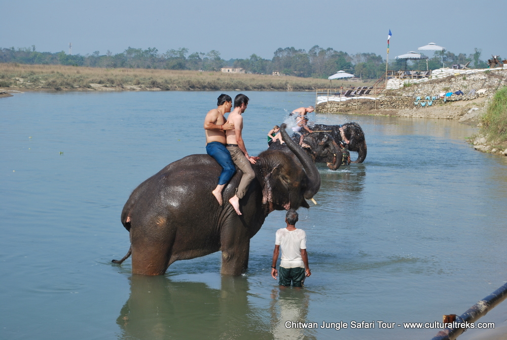 Chitwan Jungle Safari Tour