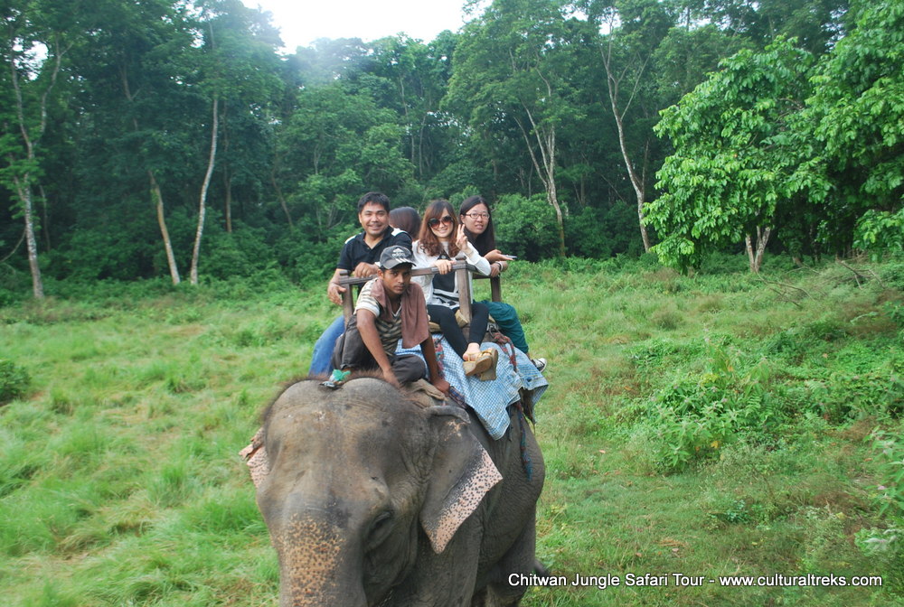 Chitwan Jungle Safari Tour