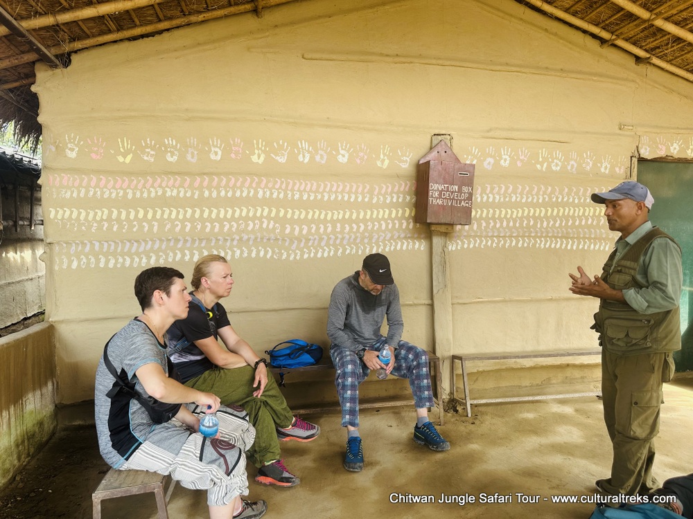 Chitwan Jungle Safari Tour