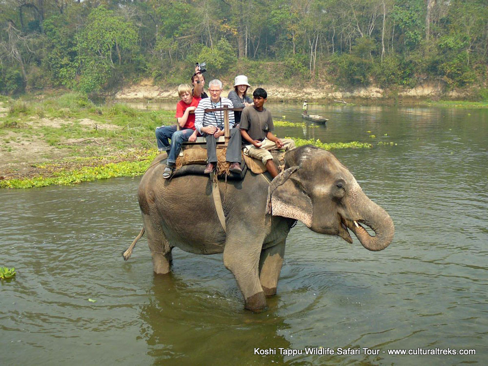 Koshi Tappu Safari Tour