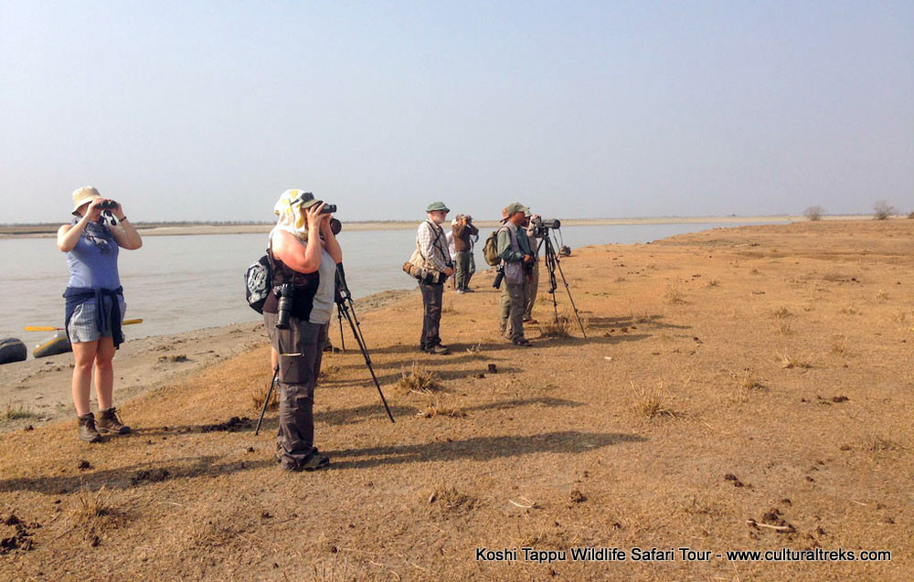 Koshi Tappu Safari Tour