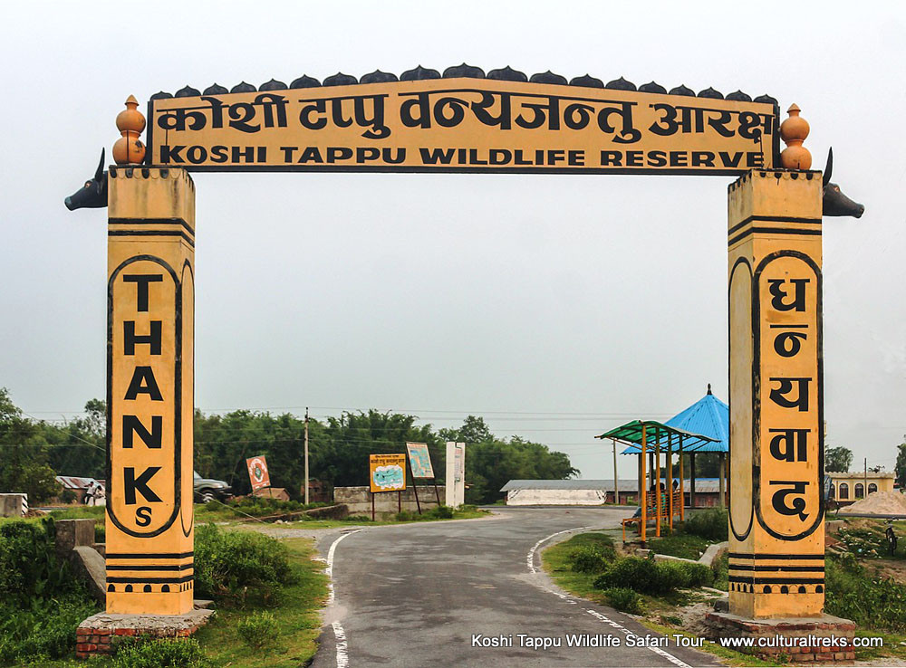 Koshi Tappu Safari Tour