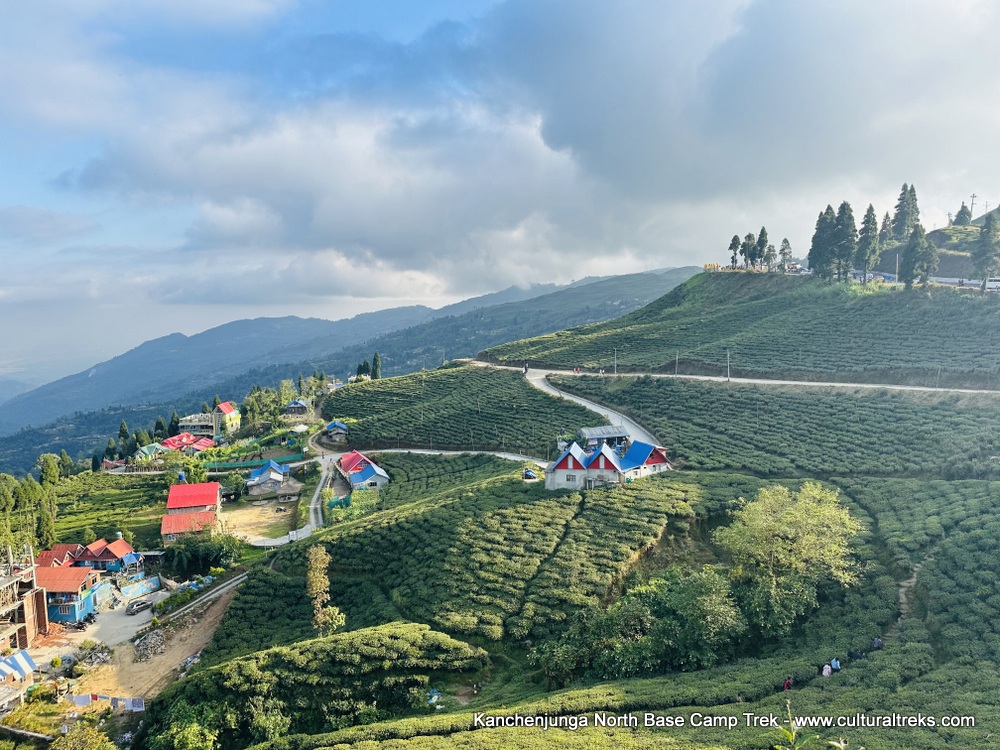 Kanchenjunga North Base Camp Trekking