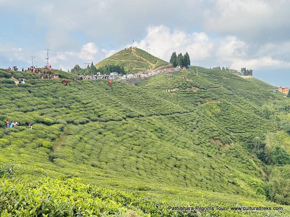 Pathibhara Devi Pilgrims Tour