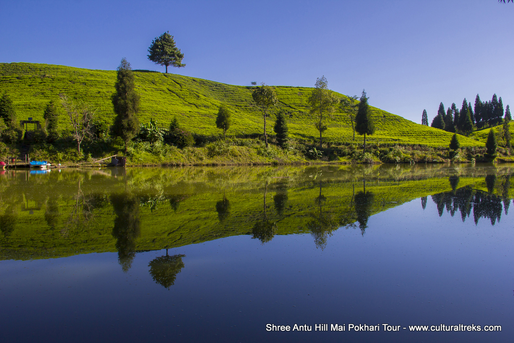 Shree Antu Hill and Mai Pokhari Tour