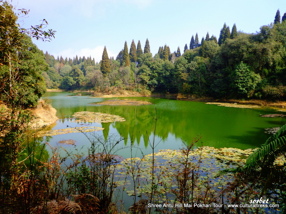 Shree Antu Hill and Mai Pokhari Tour