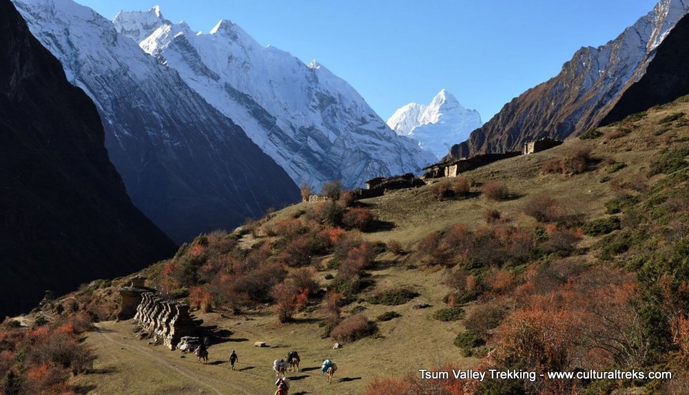 Tsum Valley Trekking