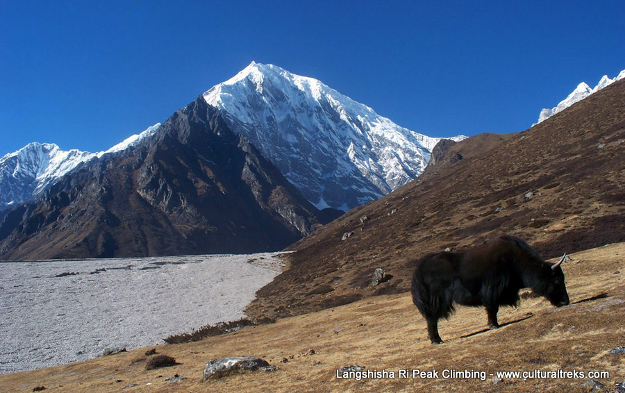 Langshisha Ri Peak Climbing - Langtang Valley