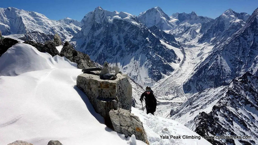 Langtang Valley Trek with Yala Peak Climbing