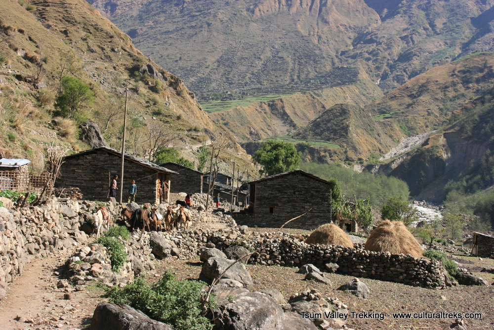 Tsum Valley Trekking